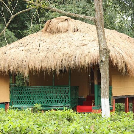 Nature Hunt Eco Camp Kaziranga Exterior photo