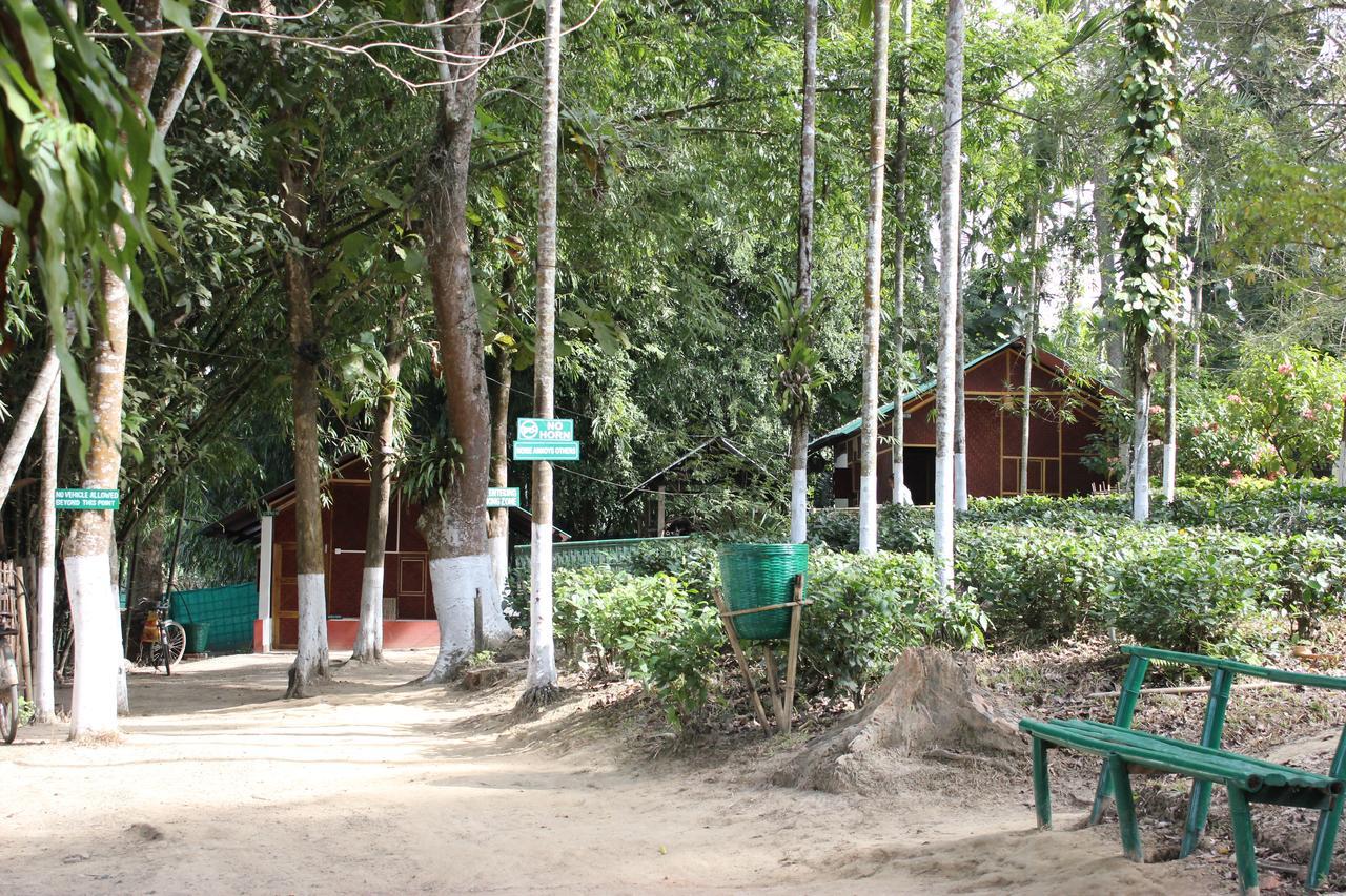 Nature Hunt Eco Camp Kaziranga Exterior photo