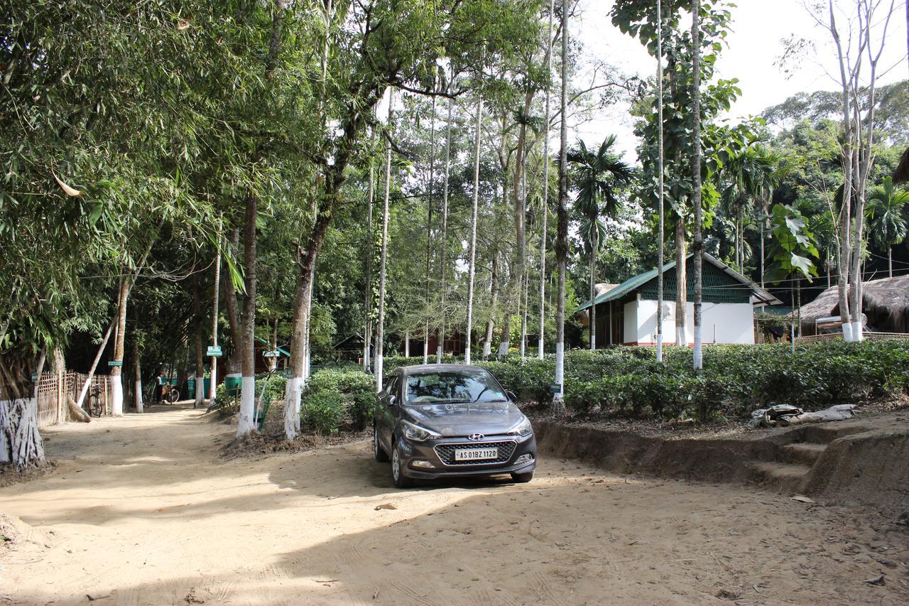 Nature Hunt Eco Camp Kaziranga Exterior photo