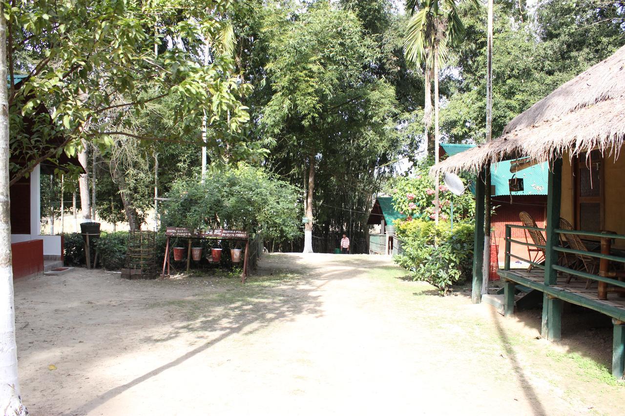 Nature Hunt Eco Camp Kaziranga Exterior photo