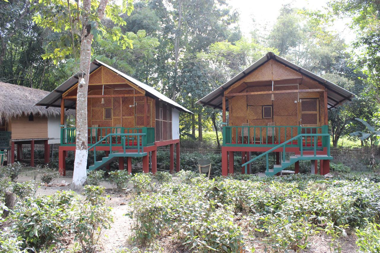 Nature Hunt Eco Camp Kaziranga Exterior photo