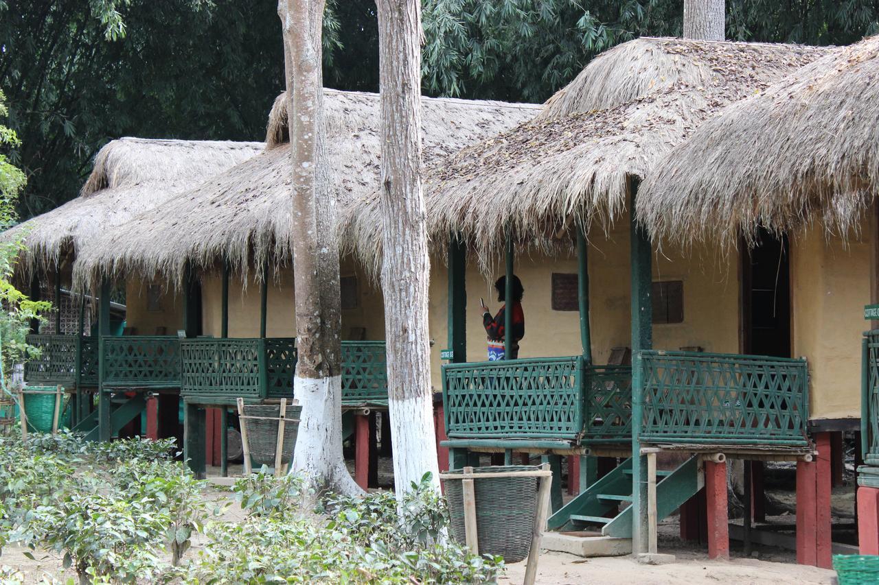 Nature Hunt Eco Camp Kaziranga Exterior photo