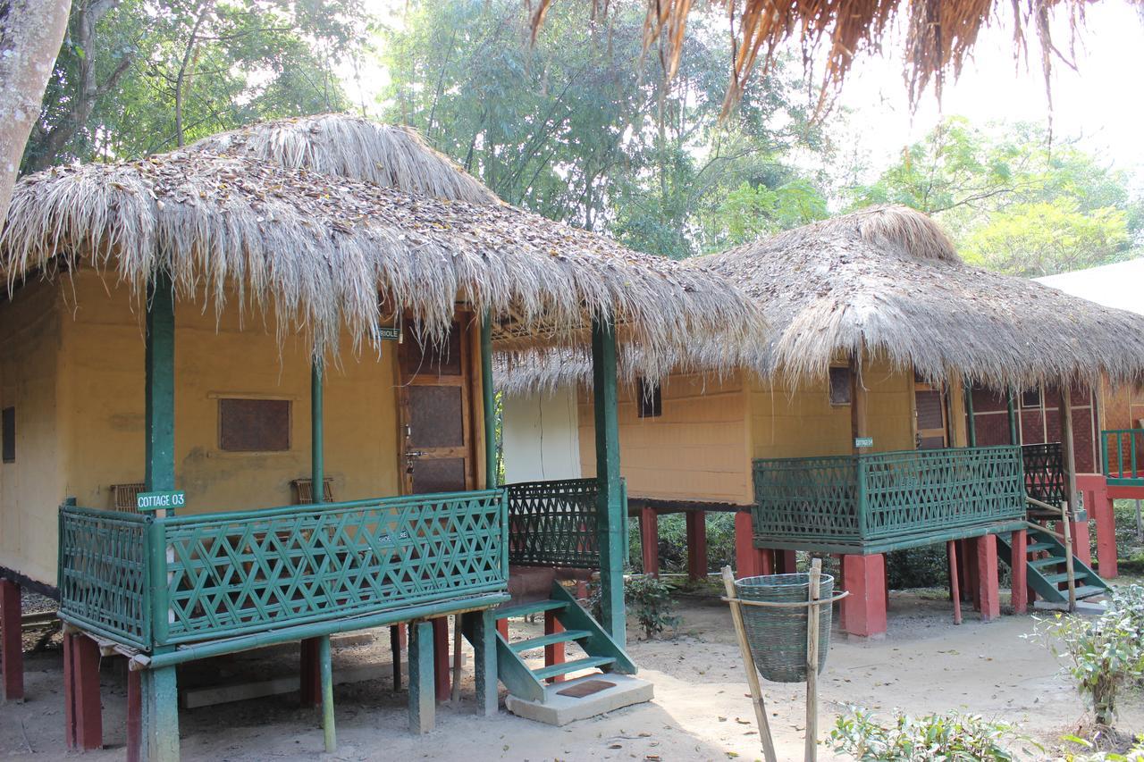 Nature Hunt Eco Camp Kaziranga Exterior photo