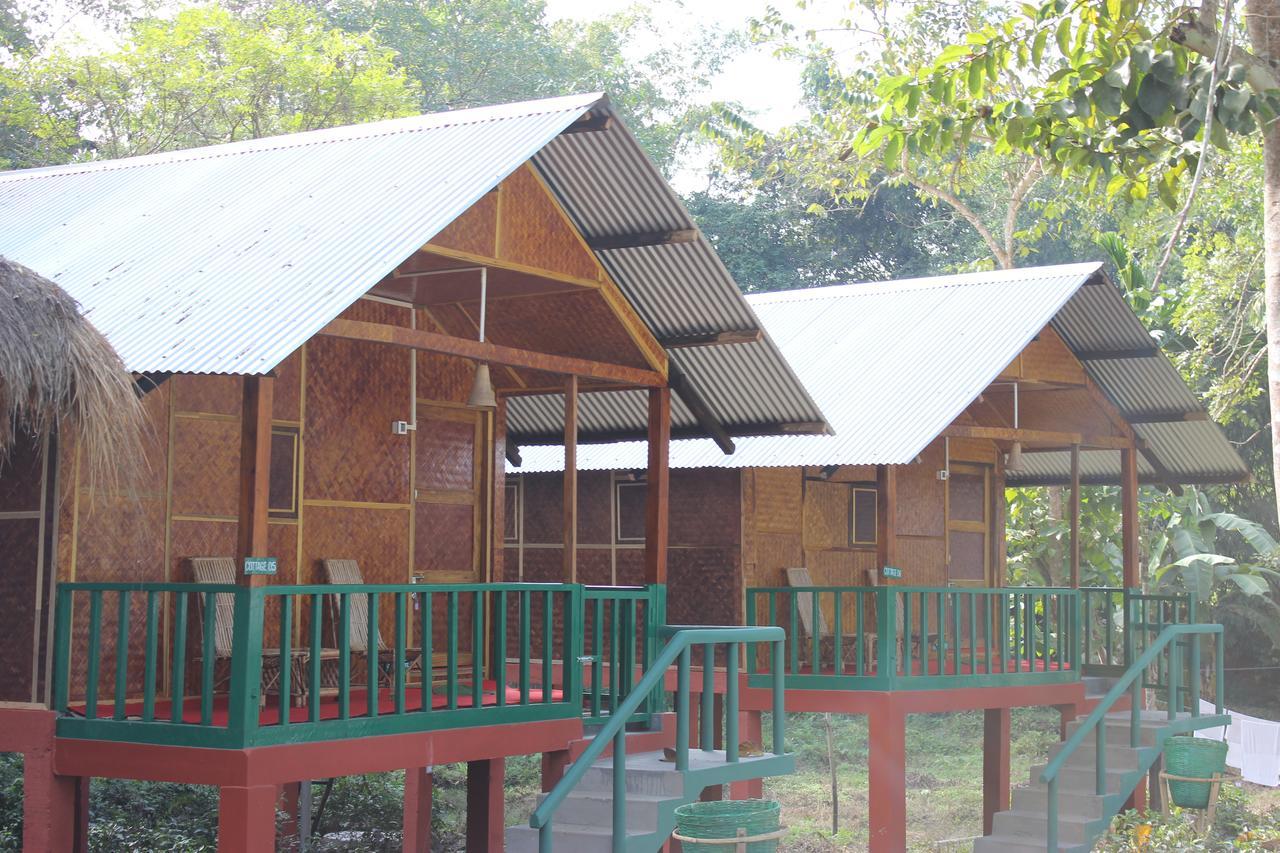 Nature Hunt Eco Camp Kaziranga Exterior photo