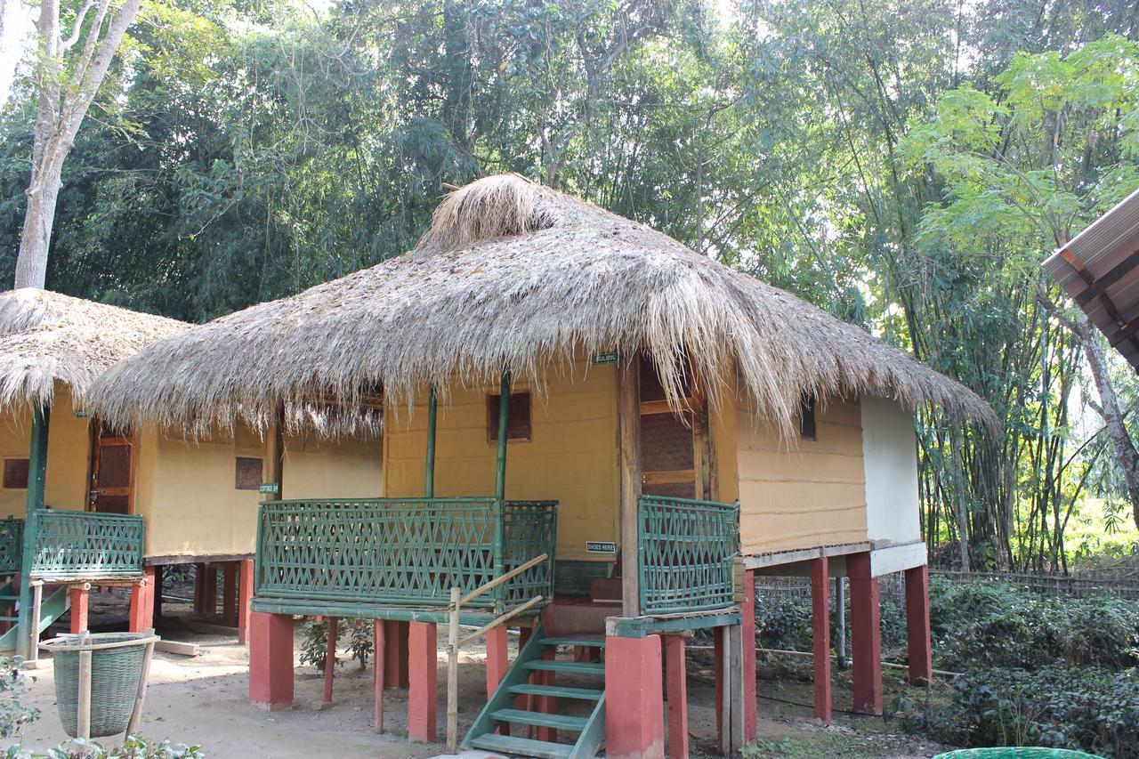 Nature Hunt Eco Camp Kaziranga Exterior photo