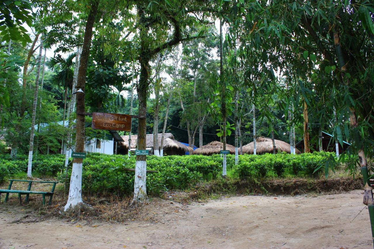 Nature Hunt Eco Camp Kaziranga Exterior photo