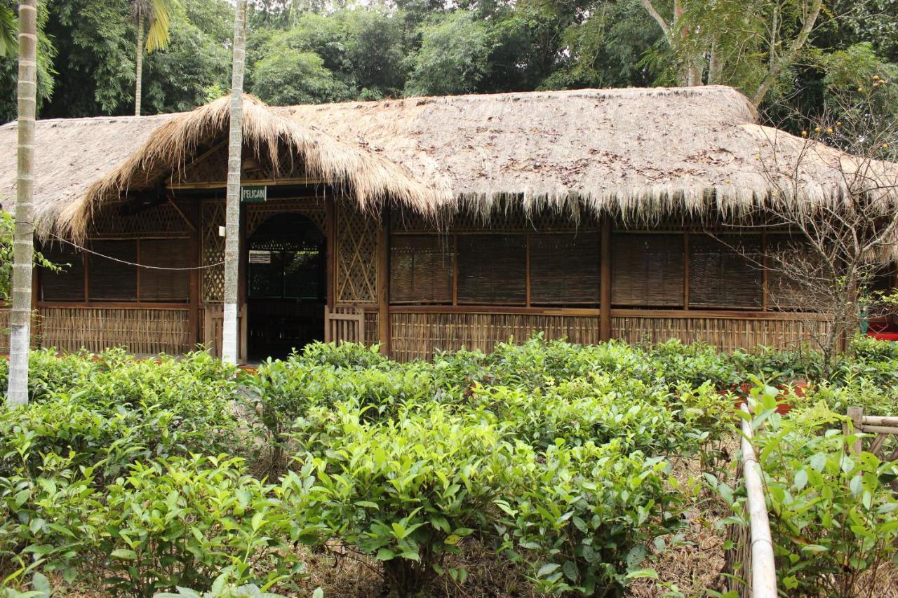 Nature Hunt Eco Camp Kaziranga Exterior photo