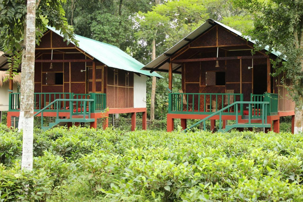 Nature Hunt Eco Camp Kaziranga Exterior photo